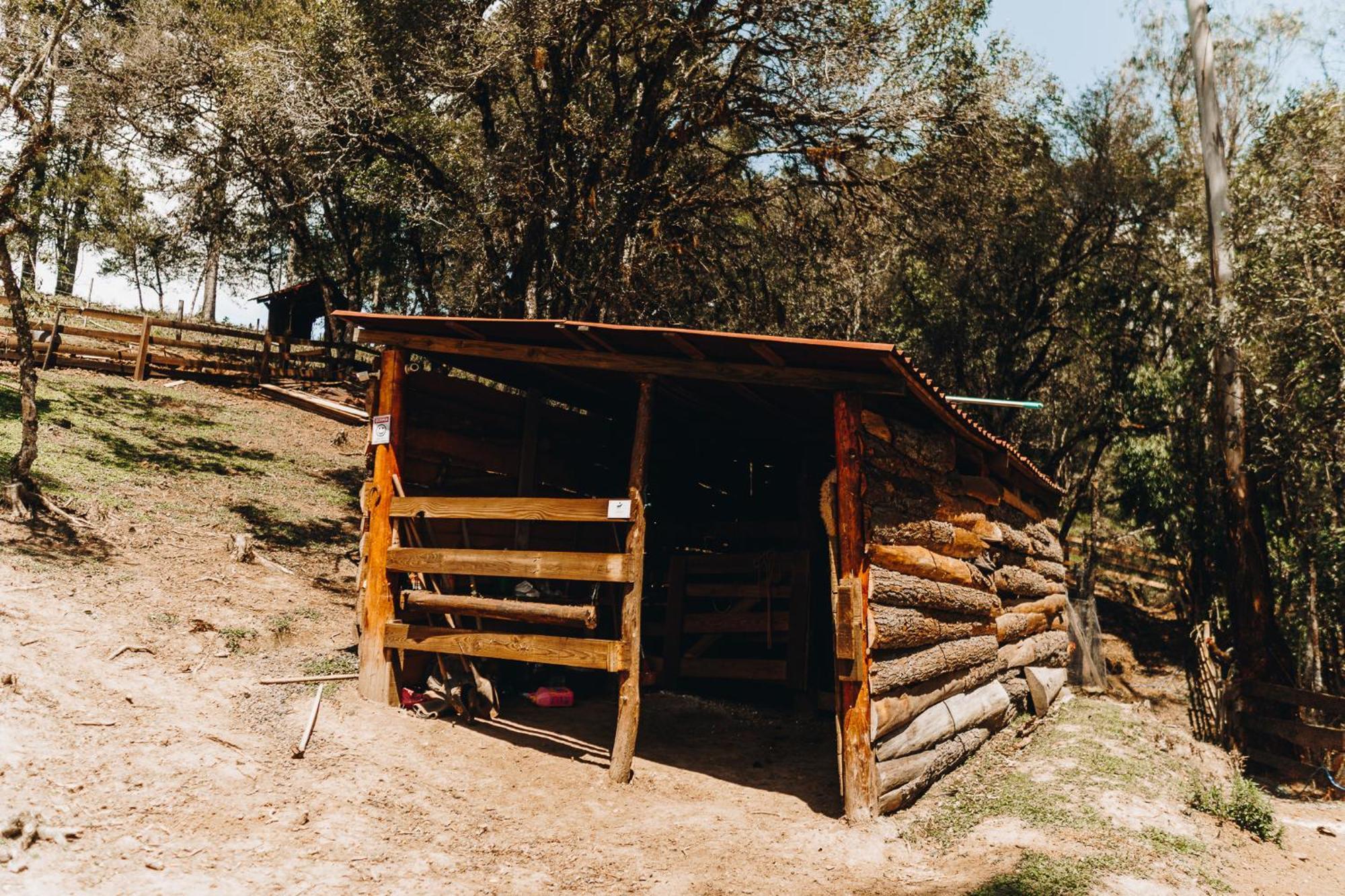Chale Harmonia Da Floresta- Pousada Cachoeira Da Neve Urubici Exterior foto